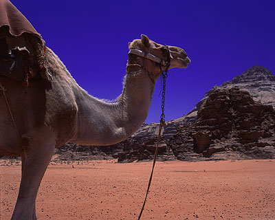 Wadi Rum